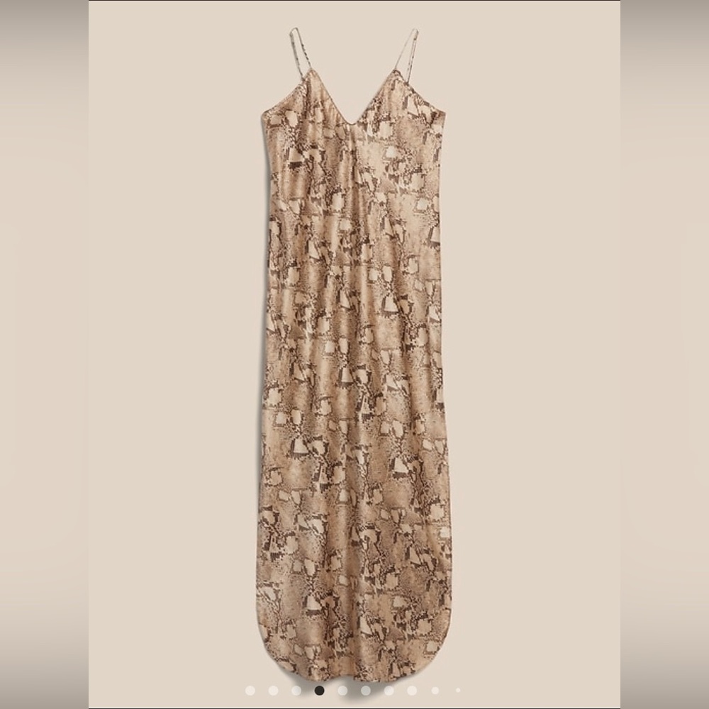 Banana Republic Dreamer Silk Dress
